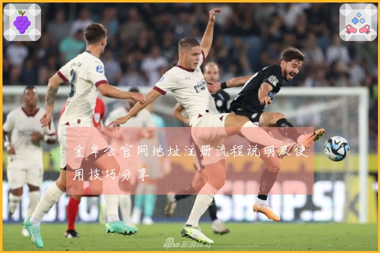 金年会官网地址注册流程说明及使用技巧分享